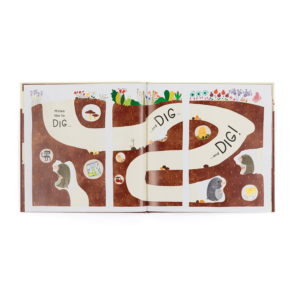 Muswell Mole and the Buried Treasure Book - Twinkle Twinkle Little One