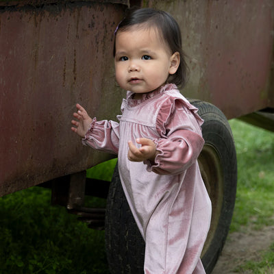 Baby Girls Velour Kalani Jumper - Mauve - Twinkle Twinkle Little One