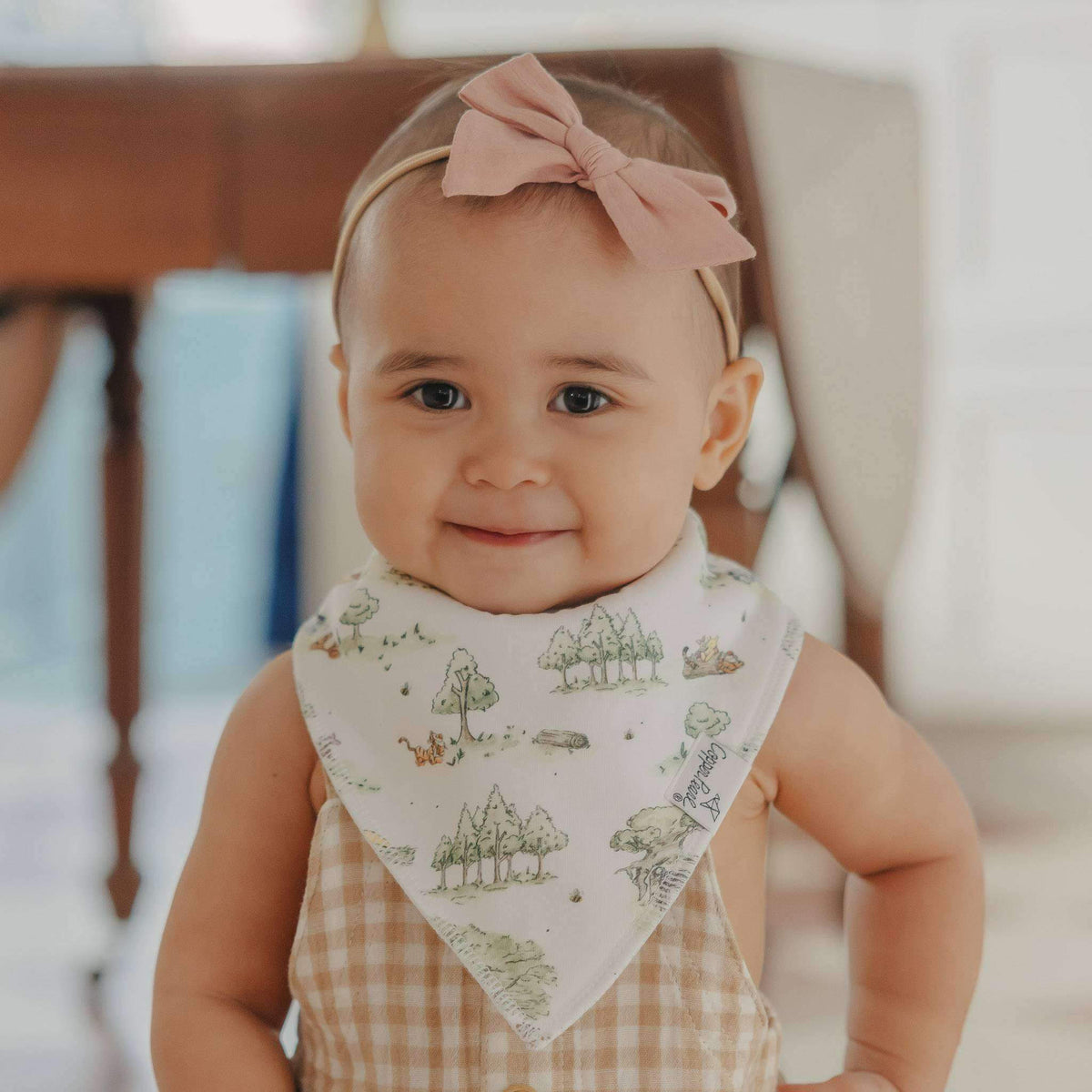 Winnie the Poo Bandana Bib Set (6-Pack)