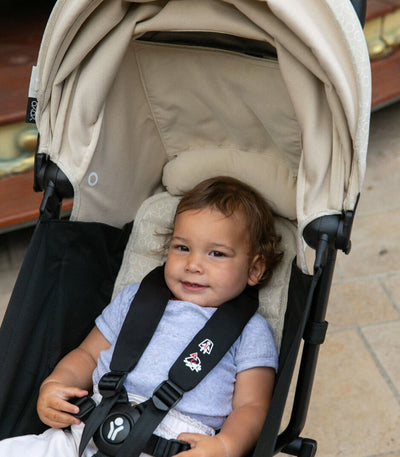 Stokke YOYO 6+ Color Pack - Bonpoint - Twinkle Twinkle Little One