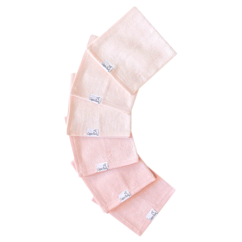 Ultra Soft 6 Pack Washcloths - Cora - Twinkle Twinkle Little One