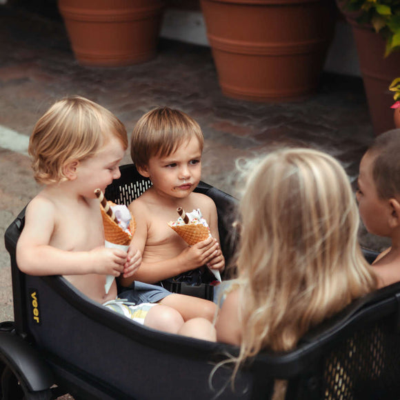 Veer Cruiser XL All-Terrain Wagon - Twinkle Twinkle Little One