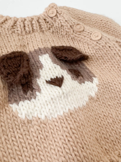 Dog Pullover Sweater - Twinkle Twinkle Little One