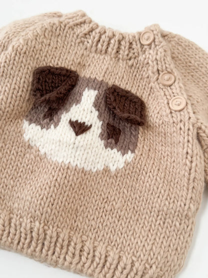 Dog Pullover Sweater - Twinkle Twinkle Little One