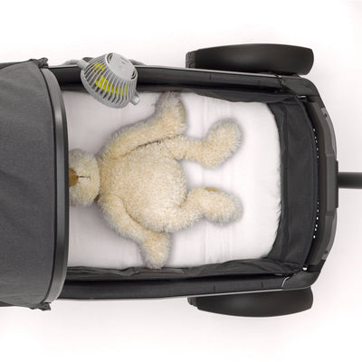 Veer Flex Fan - Twinkle Twinkle Little One