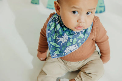 Juarrasic Park Baby Bandana Bibs - Twinkle Twinkle Little One