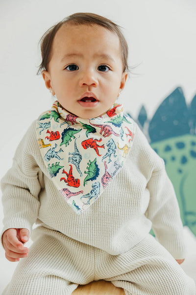 Juarrasic Park Baby Bandana Bibs - Twinkle Twinkle Little One