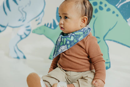 Juarrasic Park Baby Bandana Bibs - Twinkle Twinkle Little One