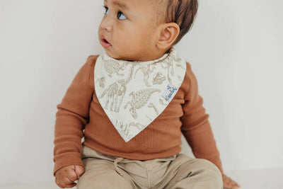 Juarrasic Park Baby Bandana Bibs - Twinkle Twinkle Little One