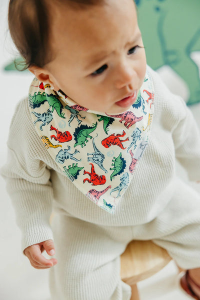 Juarrasic Park Baby Bandana Bibs - Twinkle Twinkle Little One
