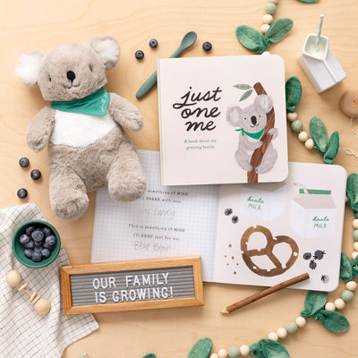 Just One Me - A Big Sibling Gift Set - Twinkle Twinkle Little One
