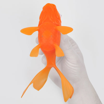 Koi Fish Inflatable Koi Toy - Light-Up Goldfish - Bath & Pool Toy – Twinkle Twinkle Little One