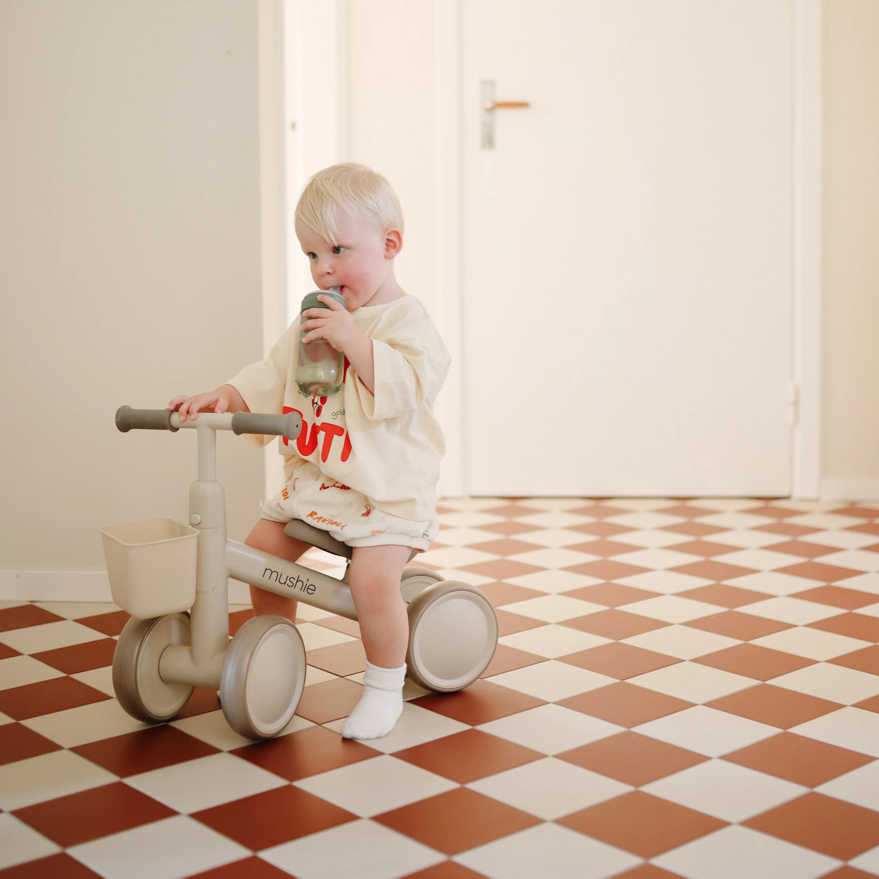 Mini Toddler Bike