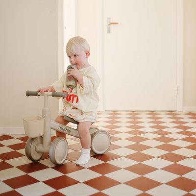 Mini Toddler Bike