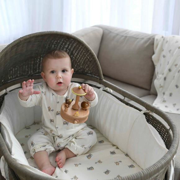 BASSINET SHEET / CHANGING PAD COVER - AIRPLANE BEAR - Twinkle Twinkle Little One