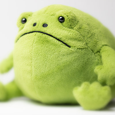 Ricky Rain Frog - Twinkle Twinkle Little One