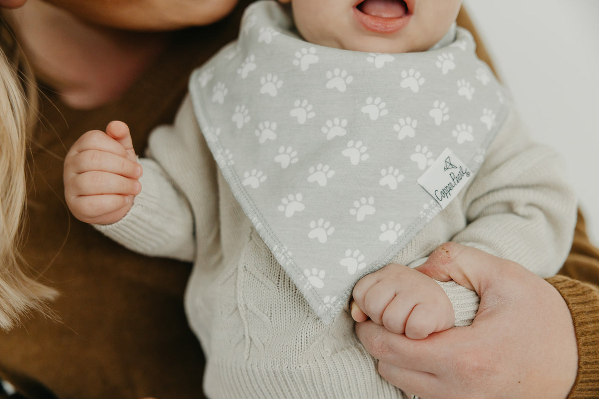 Rufus Baby Bandana Bibs