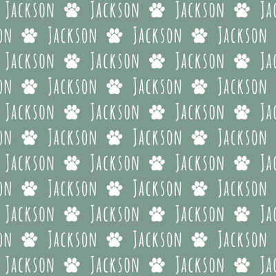 Sugar + Maple Plush Minky Fleece Personalized Blanket | Paw Icon Repeating Name - Twinkle Twinkle Little One