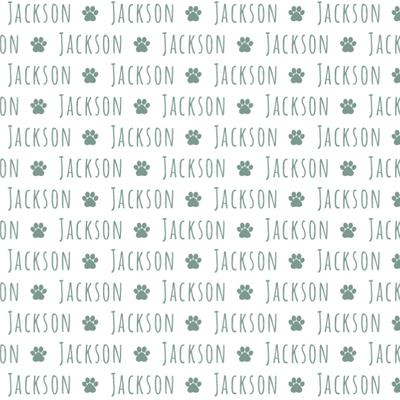 Sugar + Maple Plush Minky Fleece Personalized Blanket | Paw Icon Repeating Name - Twinkle Twinkle Little One