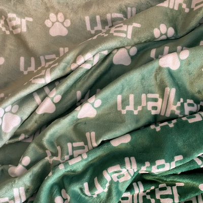 Sugar + Maple Plush Minky Fleece Personalized Blanket | Jungle Ombre - Twinkle Twinkle Little One