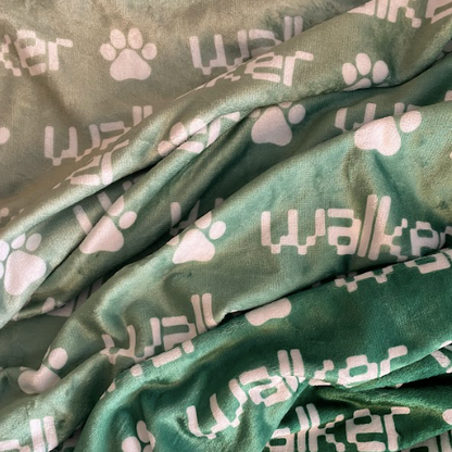 Sugar + Maple Plush Minky Fleece Personalized Blanket | Jungle Ombre - Twinkle Twinkle Little One