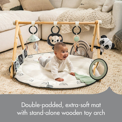 Tiny Love Black & White Gymini - Twinkle Twinkle Little One