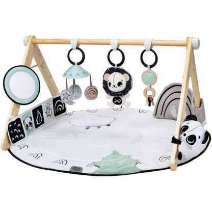 Tiny Love Black & White Gymini - Twinkle Twinkle Little One