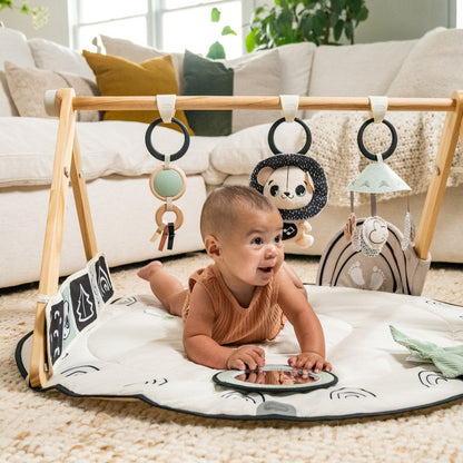 Tiny Love Black & White Gymini - Twinkle Twinkle Little One