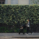 Nuna TRVL LX Stroller + Carry Bag - Twinkle Twinkle Little One