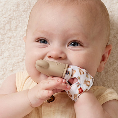 Itzy Ritzy Itzy Mitt Teething Mittens