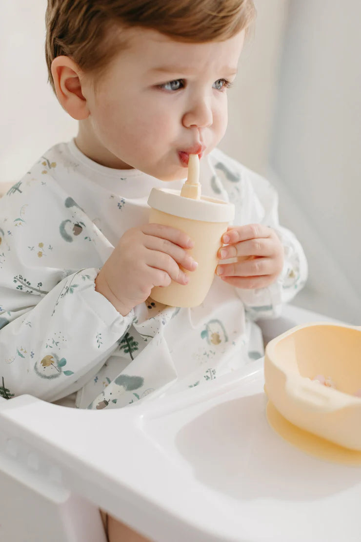 Long Sleeve Waterproof Bib - Hedgehog - Twinkle Twinkle Little One