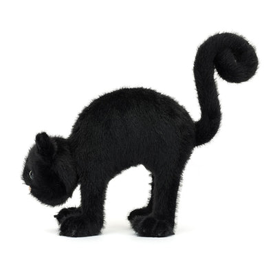 Spookipaws Cat - Twinkle Twinkle Little One