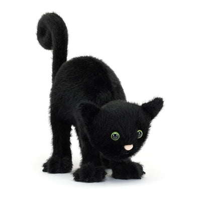 Spookipaws Cat - Twinkle Twinkle Little One