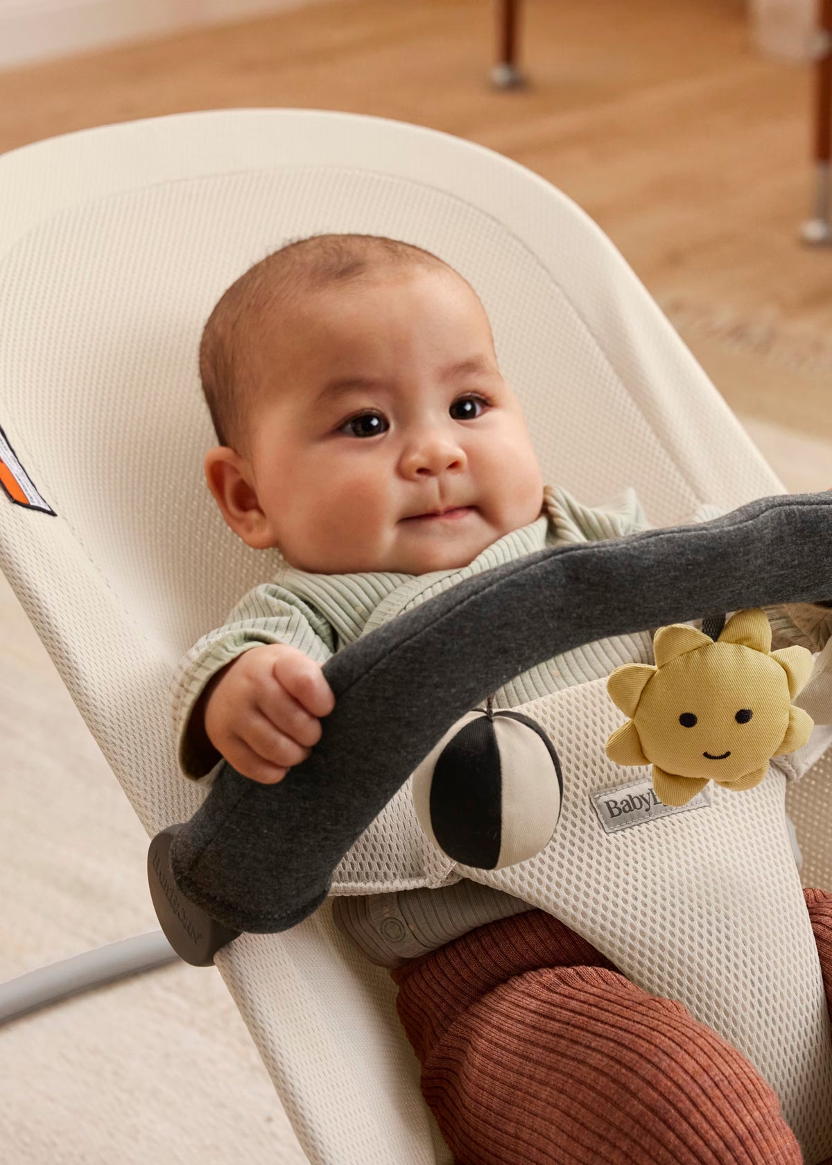 BabyBjörn Toy for Bouncer - Sunny Friends