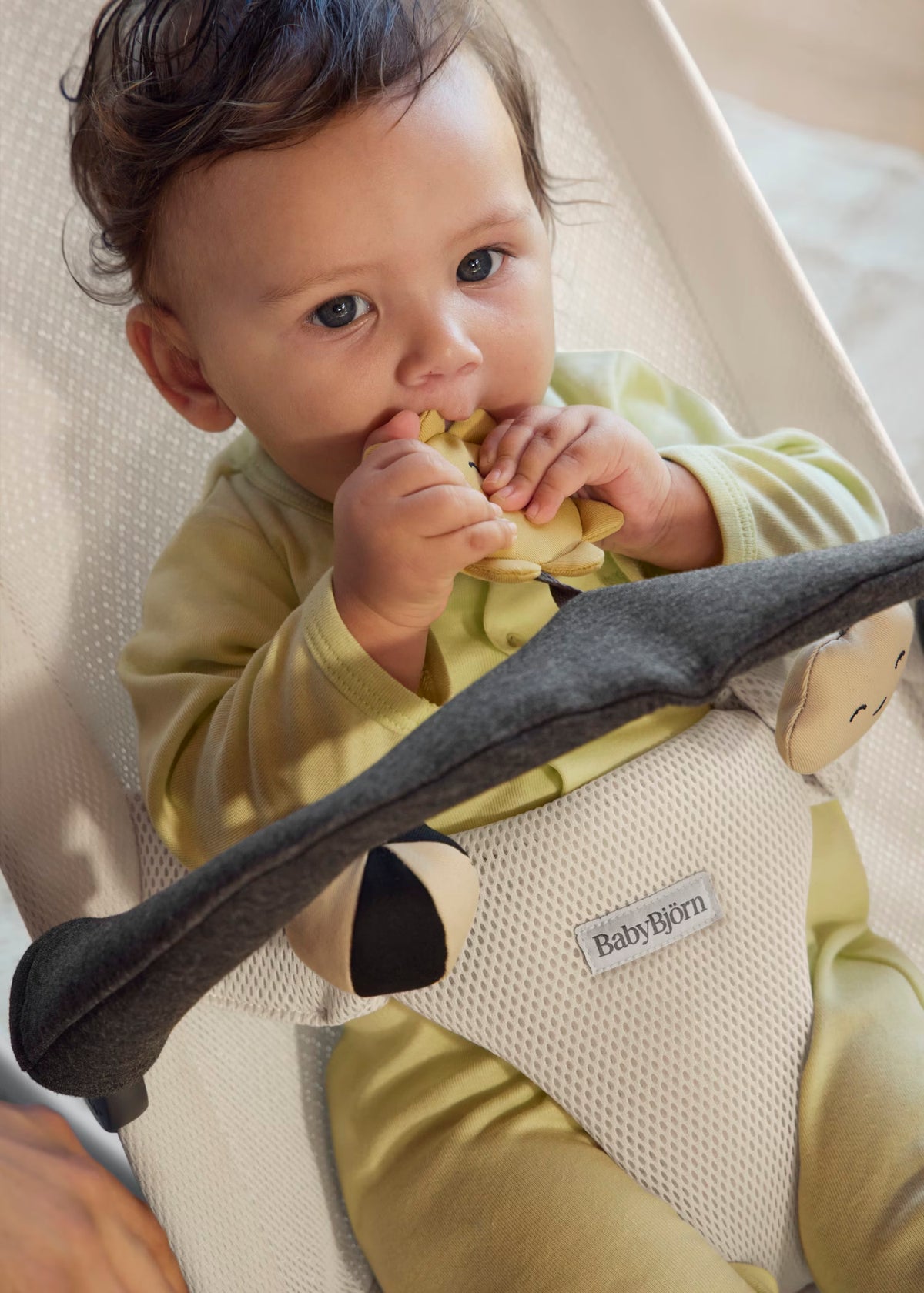 BabyBjörn Toy for Bouncer - Sunny Friends