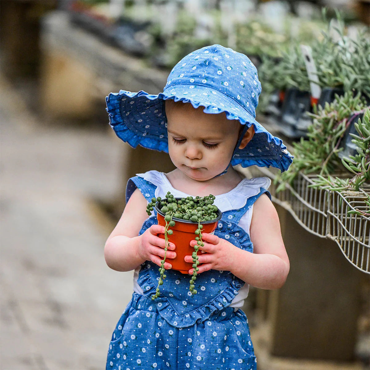 Denim Ruffle Sunhat - Sunburst Flower Print