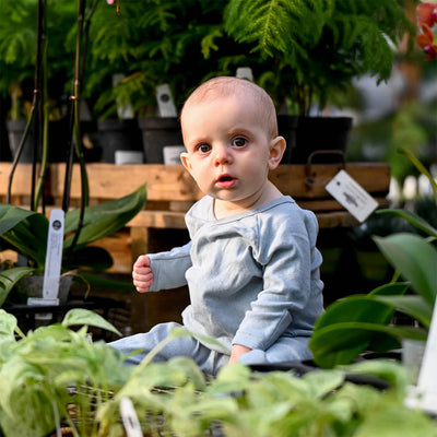 Pointelle Kimono Set - Twinkle - Sky Blue - Twinkle Twinkle Little One