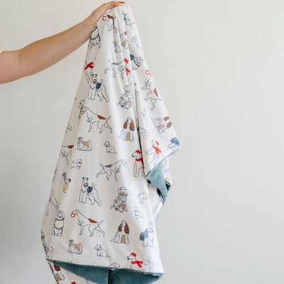 MINKY/LUSH RECEIVING BLANKETS - Twinkle Twinkle Little One