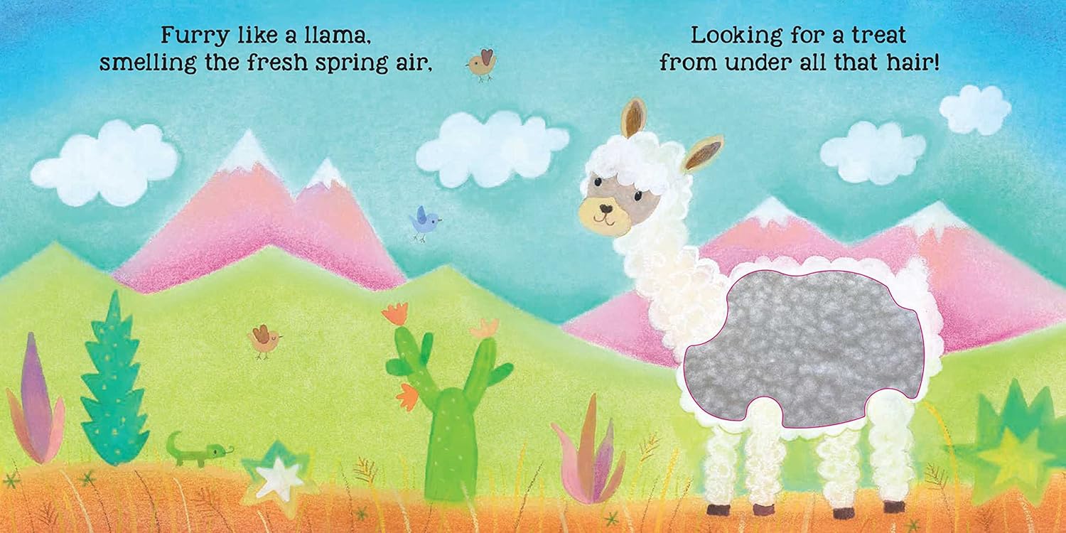 Soft Like a Bunny Board Book