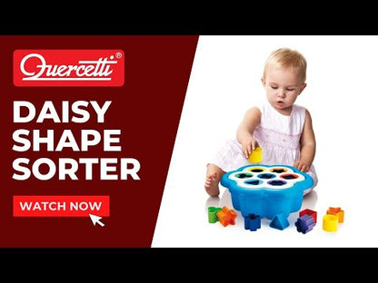 Daisy Shape Sorter Toy