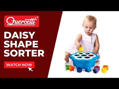 Daisy Shape Sorter Toy