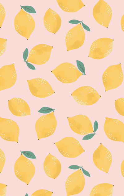 Sunny Lemons Smocked Bubble with Skirt