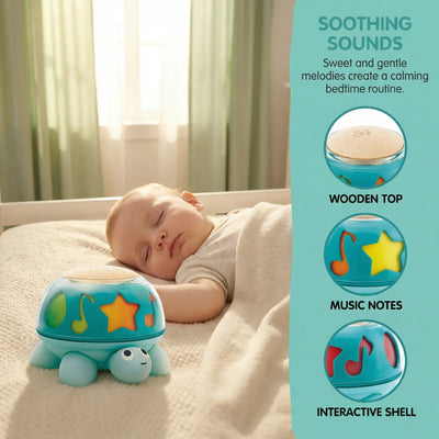 Hape Twist & Tune Turtle view 3