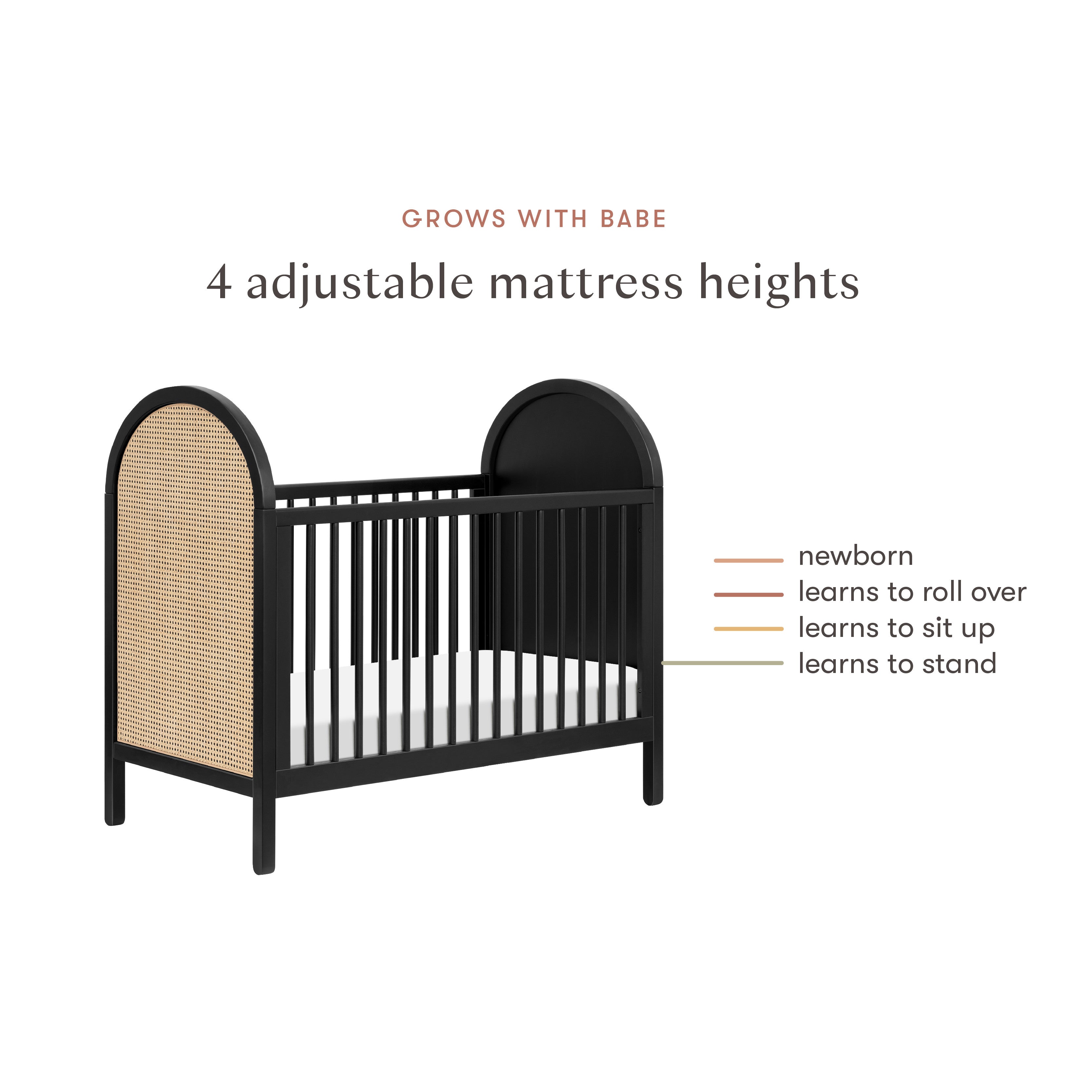 Babyletto Bondi Cane 3-in-1 Convertible Crib with Toddler Bed Conversion Kit - Twinkle Twinkle Little One