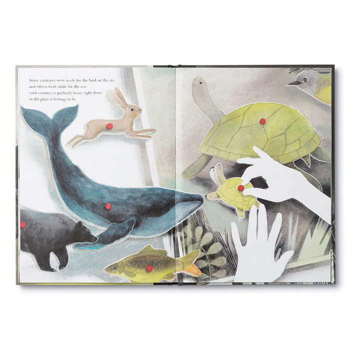 You Belong Here Book - Twinkle Twinkle Little One