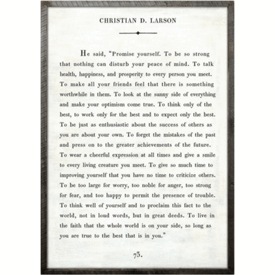 Christian Larson Art Piece