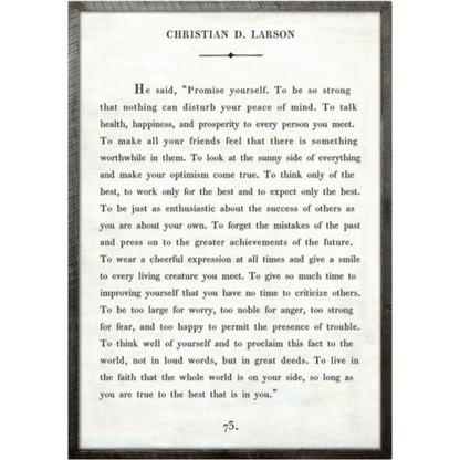 Christian Larson Art Piece