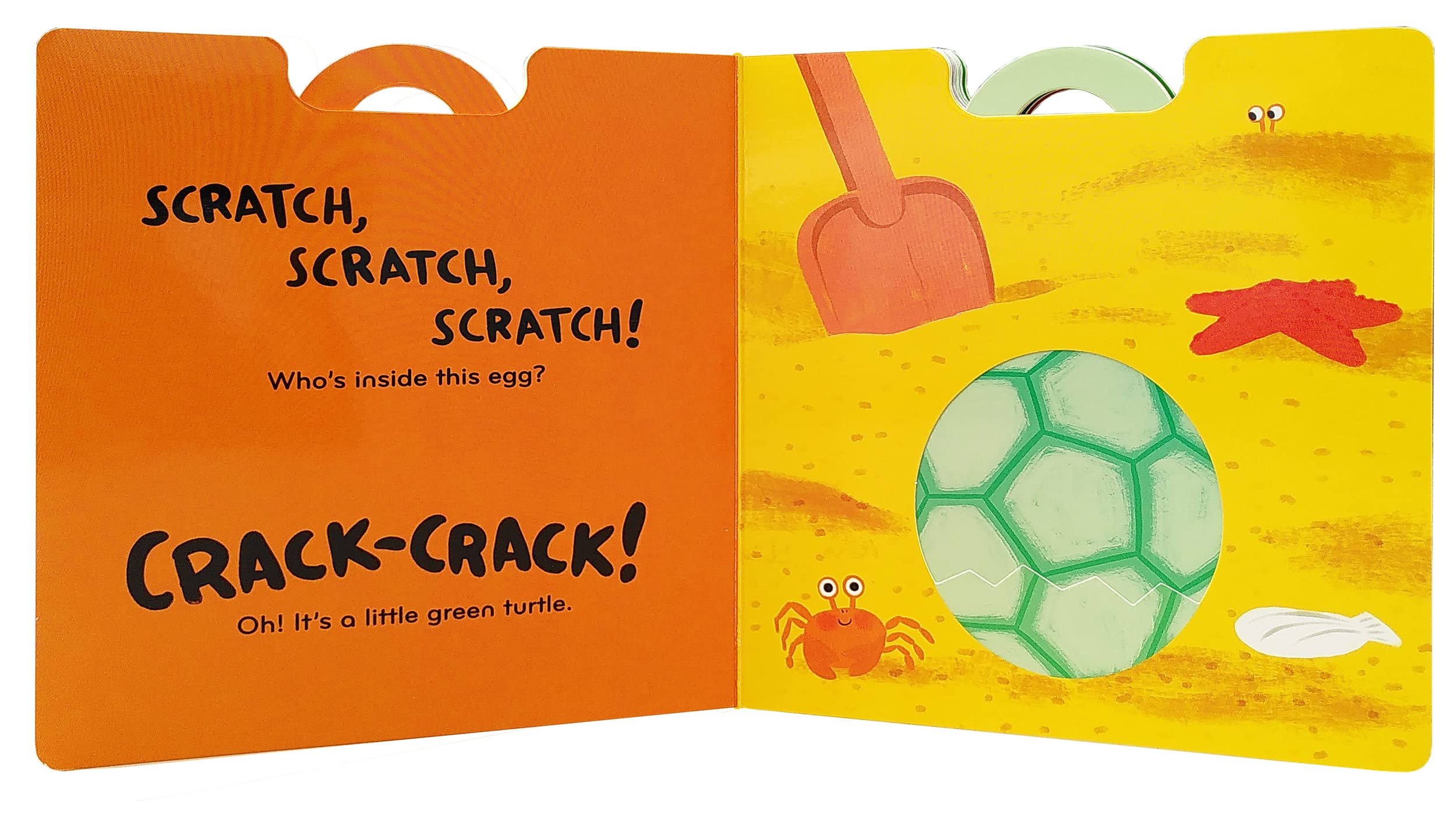 Crack-Crack! Who Is That? Board Book - Twinkle Twinkle Little One