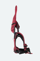 Minimeis G4 Carrier - Twinkle Twinkle Little One