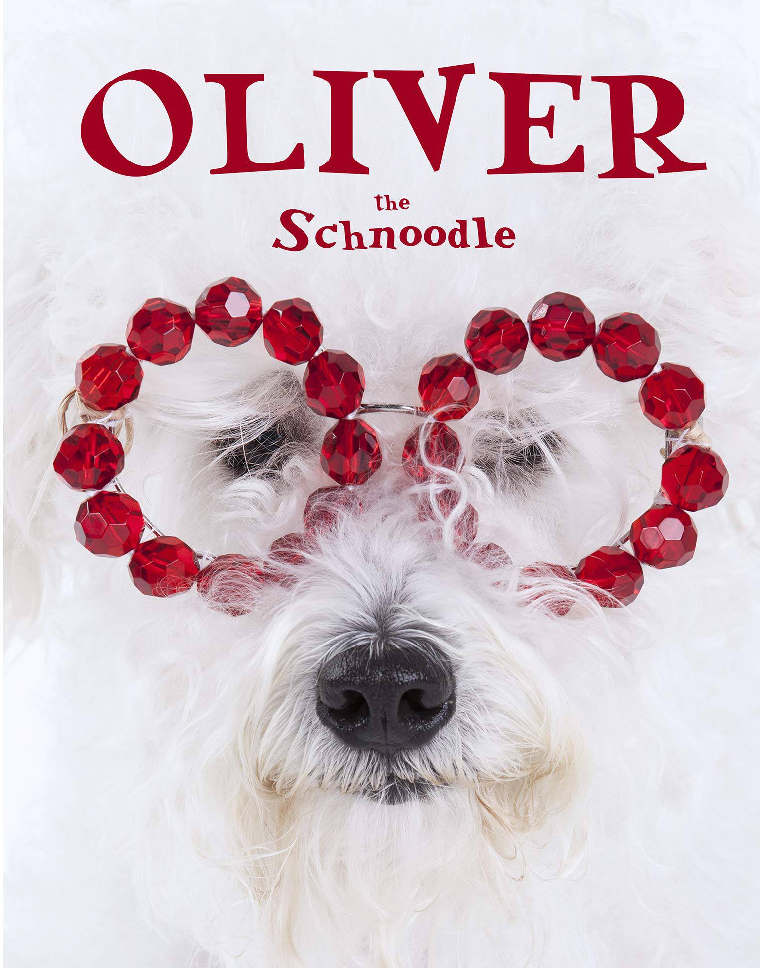 OLIVER the Schnoodle Book - Twinkle Twinkle Little One